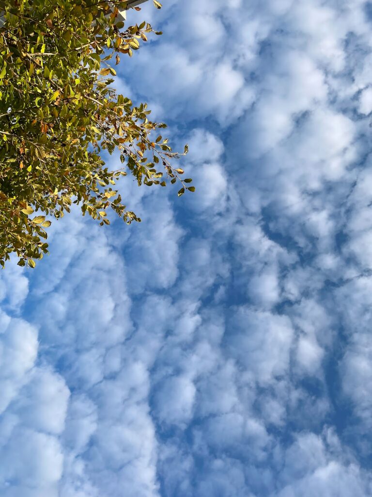 秋の空